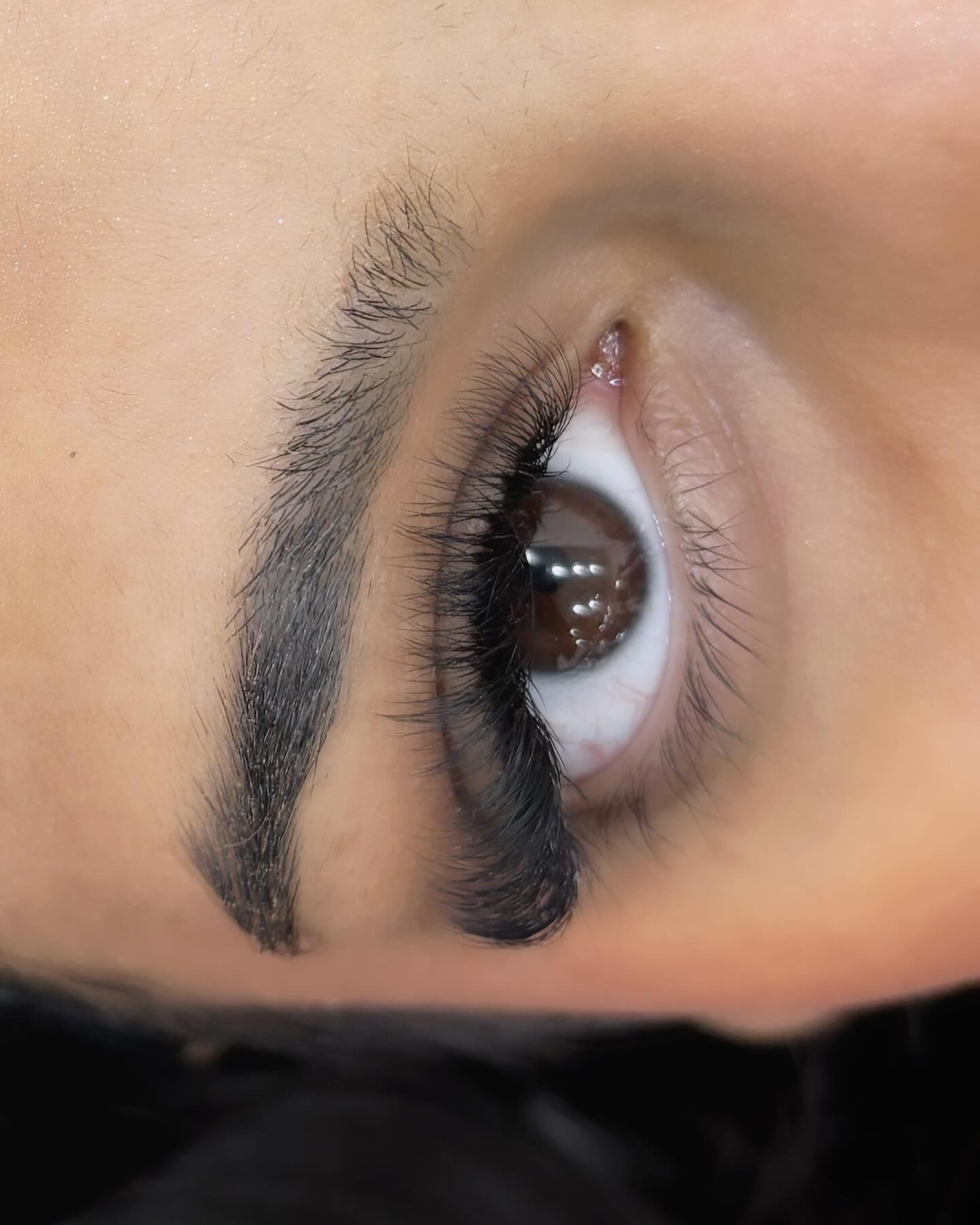 Classic lashes — Soft everyday enhancement